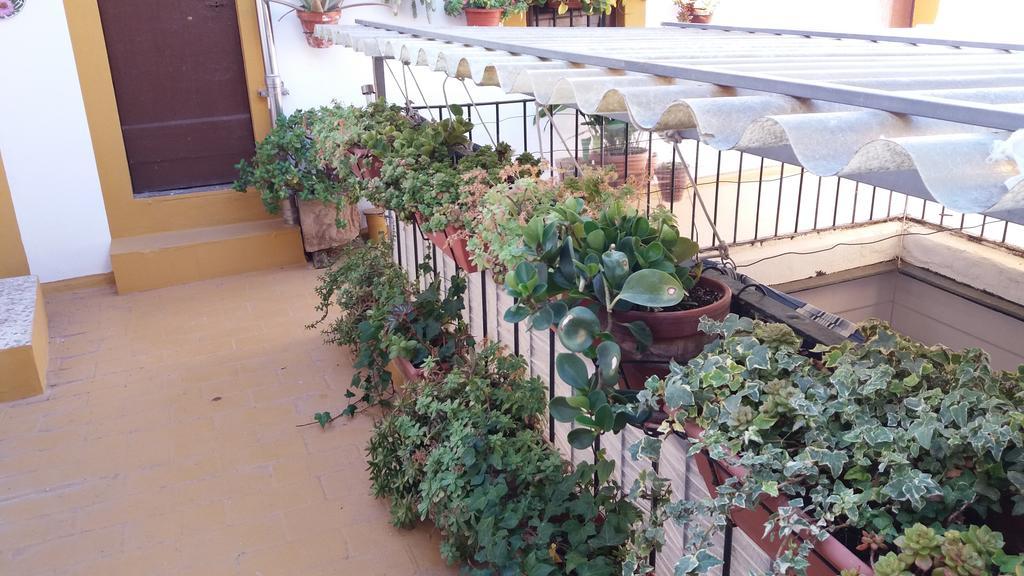 Guest house Manolo *