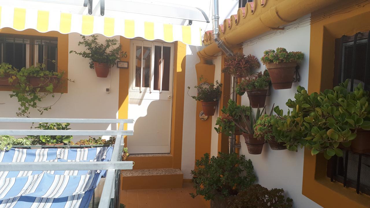 Manolo Guest house *
